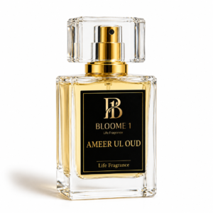 Ameer Ul Oud